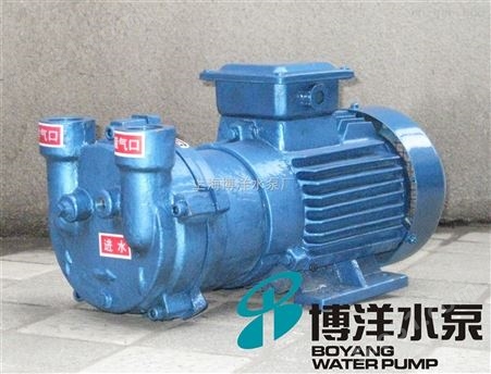 2BV型水环式真空泵，旋片式真空泵