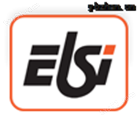 意大利ELSI传感器P5.P30-PB0-B1300-S00-00P