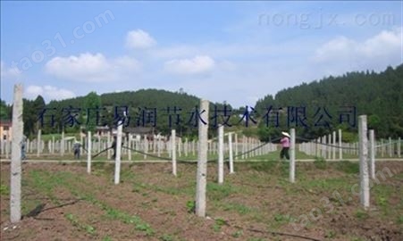 崔村镇专注大棚滴灌领域-专业生产灌水管