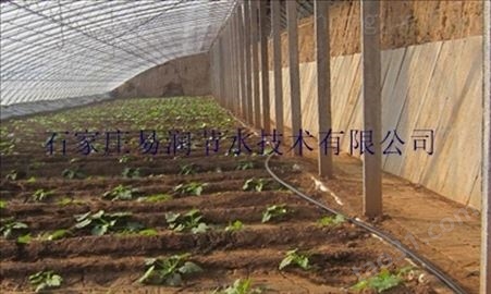华龙区蔬菜滴灌/青菜灌水管技术说明_