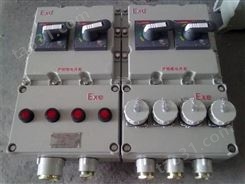 BXX51-2/K100防爆检修电源插座箱