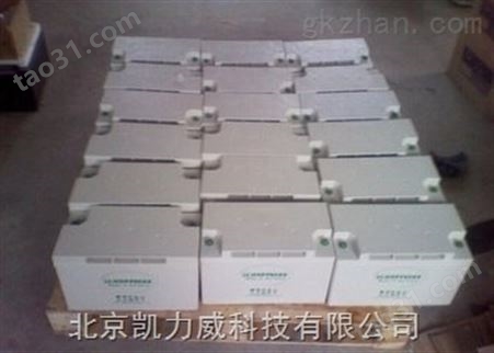 上海黄浦德国松树蓄电池SB12V110