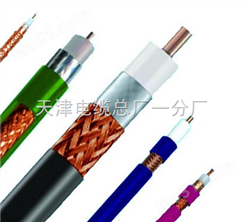 50对电缆价格 HYA 50X2X0.4 50*2*0.5 通信电缆-内江