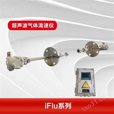 iFlu-100气体流速仪生产